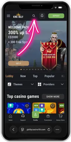Casino lobby with search bar and provider filter